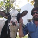 Hernan Pablo Marini Medico Veterinario - Facebook
