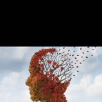 Pablo Matute - Facebook