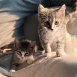Pablo & McKenzie - @grandepurrrr2 - Instagram