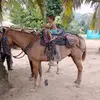 pablo - @pablomina7 - TikTok