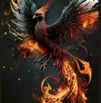 Pablo Morado - Facebook