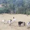 Pablo Morera - @pablo.morera5 - TikTok