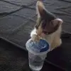 Pablo - @pablo.murillo624 - TikTok