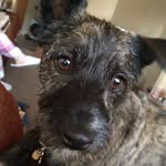 Pablo Murphy - @pablo_murphy - Instagram