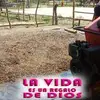 Pablo Neira - @pablo.neira2 - TikTok