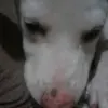 Pablo Nevarez - @pablonevarez1 - TikTok