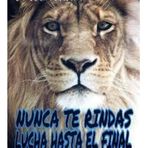 Pablo Abel Norris - Facebook
