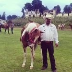 Pablo Olvera - @pablo.olvera.3114935 - Instagram