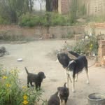 Pablo Orosco - @pablo.orosco.102 - Instagram