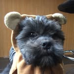 Pablo Owen - @i_is_pablo - Instagram