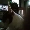 pablopablosanchez6 - @pablopablosanchez6 - TikTok
