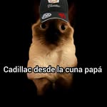 Pablo España - @pablo_paez._ - Instagram