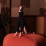 Pablo Cordero Palmer - @_pablo_the_grey - Instagram