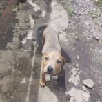 Pablo Pantoja - Facebook