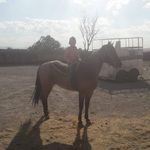 Juan Pablo Pasillas Castañeda - @pasillascastaneda - Instagram