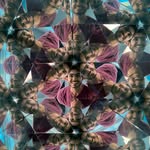 Pablo Patel - @pablopatel00 - Instagram