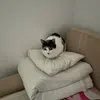 Pablo Pedro - @pablo.pedro3 - TikTok