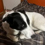 Pablo Phillips - Facebook