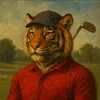pablopicazo - @pablopicazogolf - TikTok