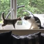 Pᴀʙʟᴏ&Pᴏᴘᴇʏᴇ - @pablo._.popeye - Instagram