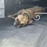 Pablo_powell1 - @pablo_powell1 - Instagram