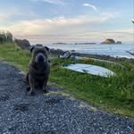 Pablo Powell - @pablo_powell - Instagram