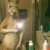 PABLO Reyes - @pablo.reyes555 - TikTok