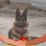 Pablo Reyes - Facebook