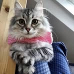 Pablo Robinson - Facebook