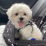 Pablo Rogers 🐾 - @pablofinnrogers - Instagram