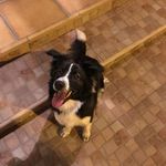 Pablo Rosado Camacho - @prosadoc - Instagram