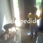 Pablo Rosado Gonzalez - @pablorosadogonzalez - Instagram