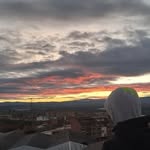 P.A.B.L.O - @pablo.roselll.alf - Instagram