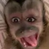 kimberly Ramos504 - @pabloross25 - TikTok