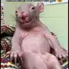 Pablo Roth - @user637417636089 - TikTok