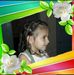 Pablo Salce - Facebook