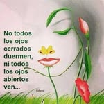 Pablo Salcido - @salcido8509 - Instagram
