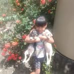 Pablo Severo - Facebook