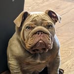 Pablo Shaw - @pabloshaw2024 - Instagram