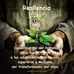 Pablo Sic - Facebook