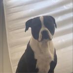 Pablo Stephens - Facebook