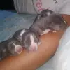 Pablo Tabares - @pablo.tabares8 - TikTok