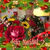 Pablo Tavarez785 - @pablotavarez785 - TikTok