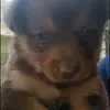 pablotavarez84 - @pablotavarez84 - TikTok