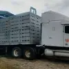 Pablo Tejas - @pablo.tejas - TikTok