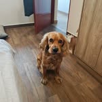 Pablo Tejeda Villanueva - @pablotejeda.v - Instagram