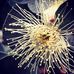 Pablo Terrazas - Facebook