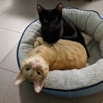 Pablo & Terry - @pabloandterry - Instagram