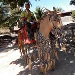 Pablo Ribeiro - @pablo_trancans_trais - Instagram