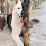 pablo_tun - @pabloesco742 - Instagram